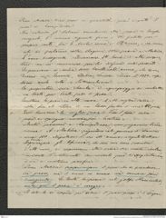 Nachlass Franz Steindachner, Brief von Gregor Bucchich an Franz Steindachner (31.05.1880), Inv.Nr. 62.04, Seite 2